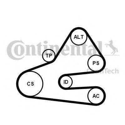 CONTITECH 6PK1613K1 Поликлиновой ременный комплект