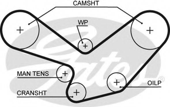 GATES 5098XS Ремень ГРМ