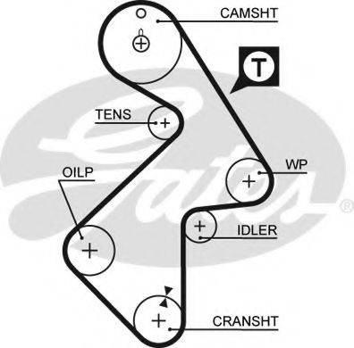 GATES 5202XS Ремень ГРМ