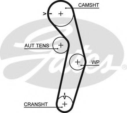 GATES 5445XS Ремень ГРМ