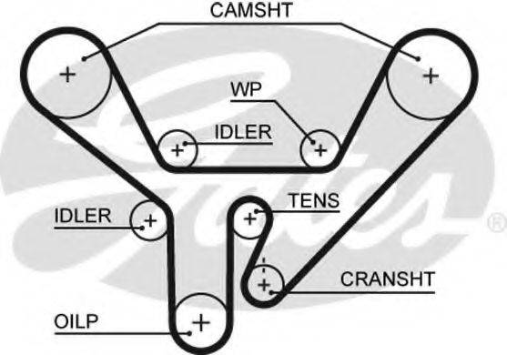 GATES 5518XS Ремень ГРМ