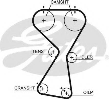 GATES 5534XS Ремень ГРМ