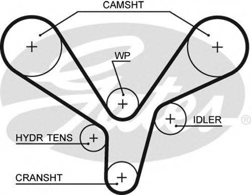 GATES 5636XS Ремень ГРМ