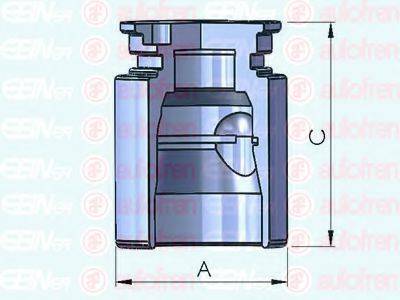 AUTOFREN SEINSA D025221 Поршень, корпус скобы тормоза