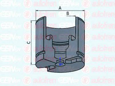 AUTOFREN SEINSA D025256 Поршень, корпус скобы тормоза