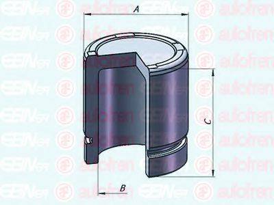 AUTOFREN SEINSA D025301 Поршень, корпус скобы тормоза