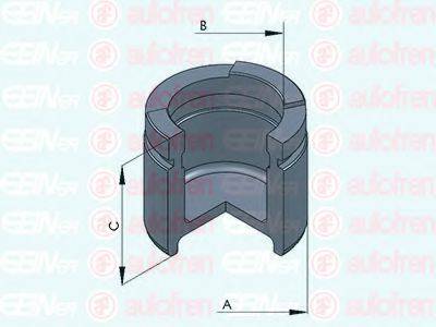 AUTOFREN SEINSA D025311 Поршень, корпус скобы тормоза