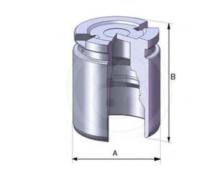 AUTOFREN SEINSA D02519 Поршень, корпус скобы тормоза