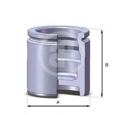 AUTOFREN SEINSA D02544 Поршень, корпус скобы тормоза