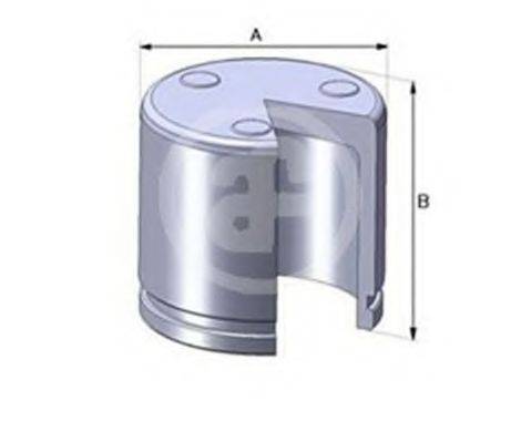 AUTOFREN SEINSA D02551 Поршень, корпус скобы тормоза