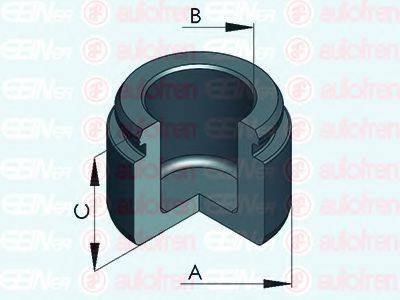 AUTOFREN SEINSA D025255 Поршень, корпус скобы тормоза