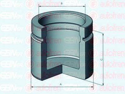 AUTOFREN SEINSA D025591 Поршень, корпус скобы тормоза