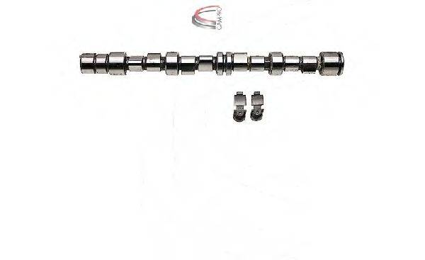 CAMPRO CP62217 Комплект распредвала