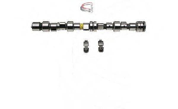 CAMPRO CP62291 Комплект распредвала