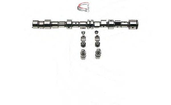 CAMPRO CP62262 Комплект распредвала