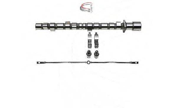 CAMPRO CP60636 Комплект распредвала