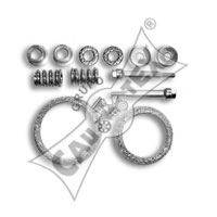 CAUTEX 030373 Монтажный комплект, система выпуска