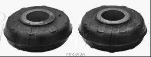 FIRST LINE FSK5920 Подвеска, рычаг независимой подвески колеса