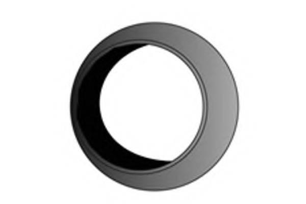 FENNO X20110 Уплотнительное кольцо, труба выхлопного газа