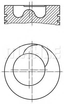 PERFECT CIRCLE 59692680 Поршень