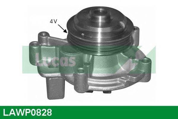 LUCAS ENGINE DRIVE LAWP0828 Водяной насос