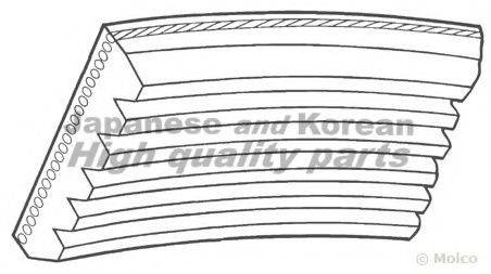 ASHUKI 03150501 Поликлиновой ремень