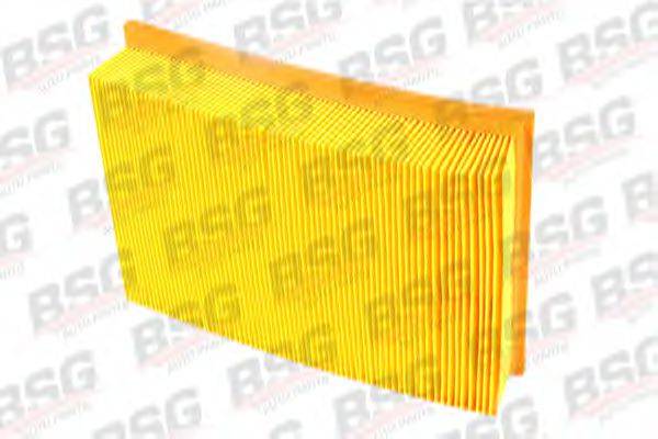 BSG BSG30135009 Воздушный фильтр