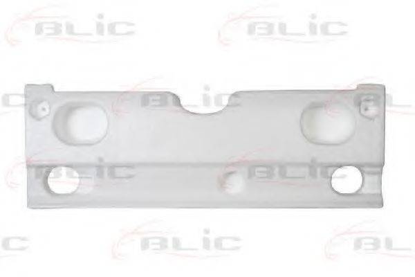 BLIC 5502002555983P Носитель, буфер