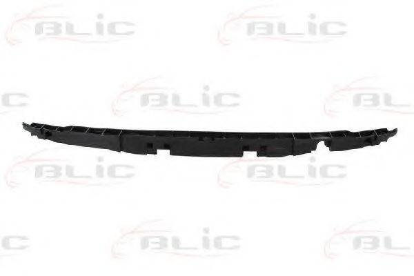 BLIC 5502006006941P Носитель, буфер