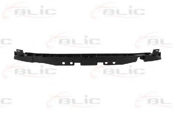 BLIC 5502006006942P Носитель, буфер