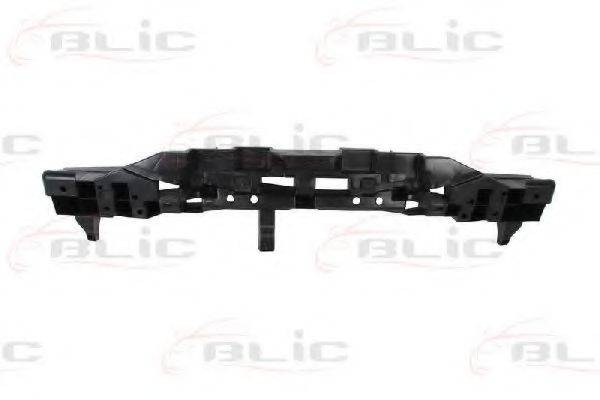 BLIC 5502006006980P Носитель, буфер