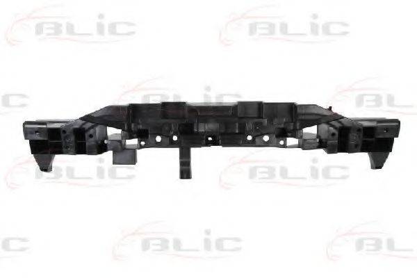 BLIC 5502006006981P Носитель, буфер