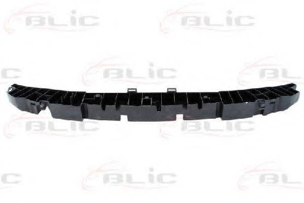BLIC 5502006033941P Носитель, буфер