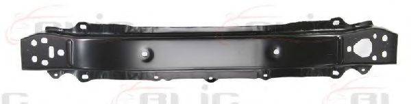 BLIC 5502008156940P Носитель, буфер