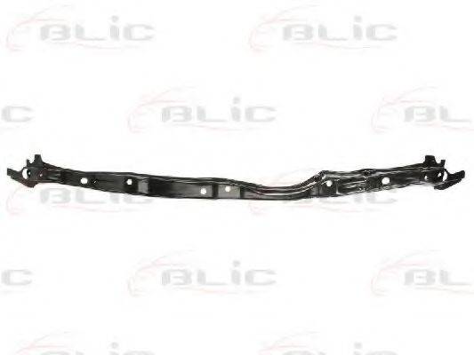 BLIC 5502008179942P Носитель, буфер