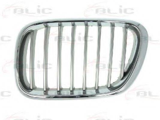 BLIC 6502070095991P Решетка радиатора