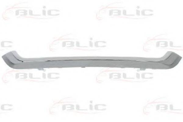 BLIC 6502072957993P Облицовка / защитная накладка, облицовка радиатора