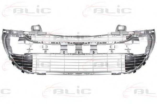 BLIC 6502075519910P Решетка вентилятора, буфер