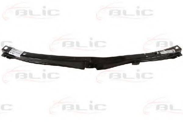 BLIC 6502088179203P Носитель, буфер