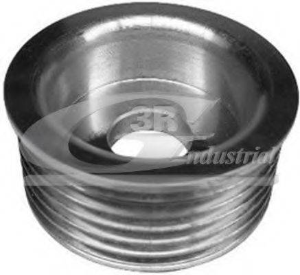 3RG 10224 Ременный шкив, генератор