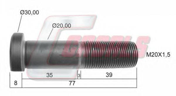 CASALS 21246