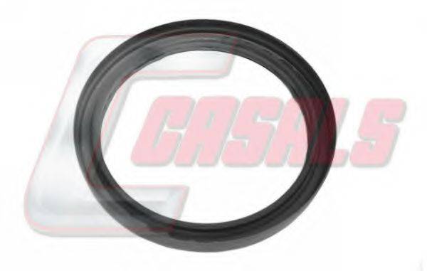 CASALS 20318 Уплотняющее кольцо, ступица колеса
