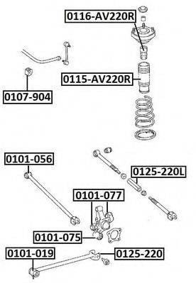 ASVA 0101-019