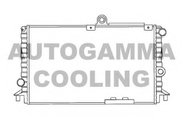 AUTOGAMMA 100004 Радиатор, охлаждение двигателя