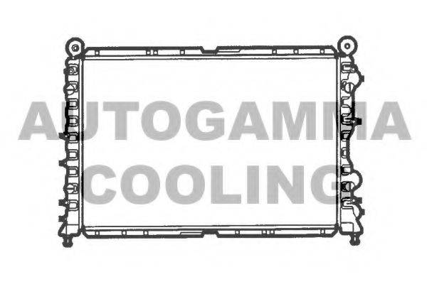 AUTOGAMMA 100010 Радиатор, охлаждение двигателя