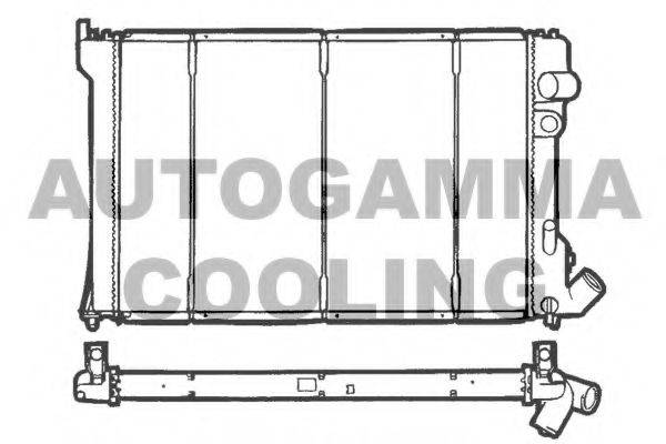 AUTOGAMMA 100211 Радиатор, охлаждение двигателя