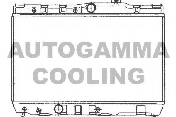 AUTOGAMMA 101002 Радиатор, охлаждение двигателя