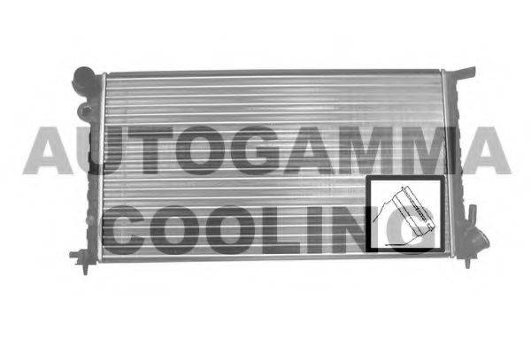 AUTOGAMMA 101306 Радиатор, охлаждение двигателя