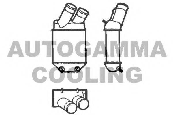 AUTOGAMMA 101493 Интеркулер