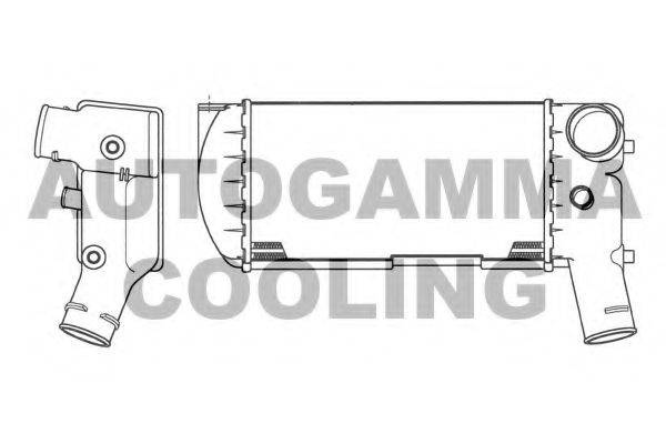 AUTOGAMMA 101862 Интеркулер